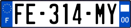 FE-314-MY