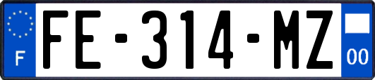 FE-314-MZ