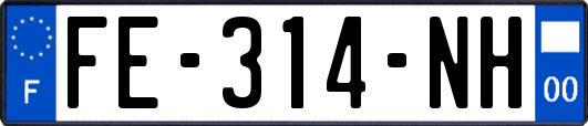 FE-314-NH