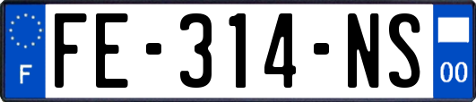 FE-314-NS