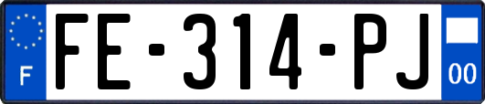 FE-314-PJ