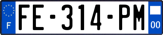 FE-314-PM