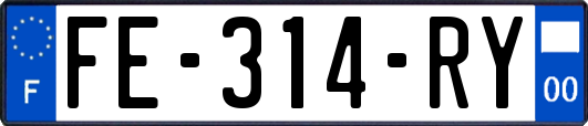 FE-314-RY