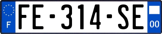 FE-314-SE