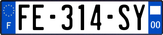 FE-314-SY
