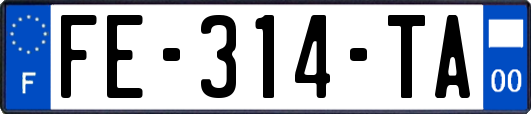 FE-314-TA
