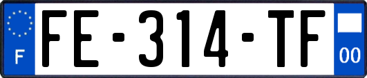 FE-314-TF
