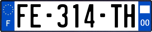 FE-314-TH
