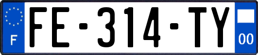 FE-314-TY