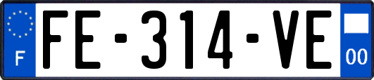 FE-314-VE