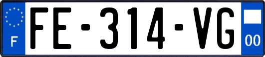FE-314-VG