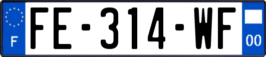 FE-314-WF