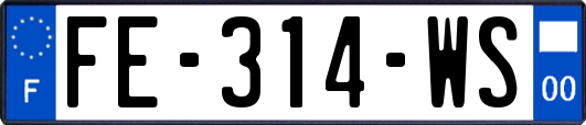 FE-314-WS