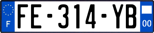 FE-314-YB