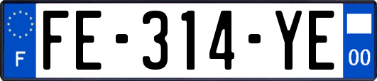 FE-314-YE