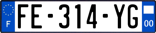 FE-314-YG