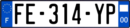 FE-314-YP