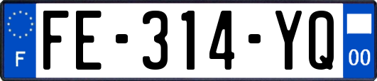 FE-314-YQ