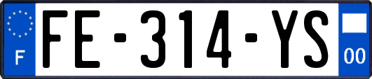 FE-314-YS