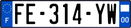 FE-314-YW