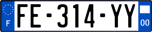 FE-314-YY