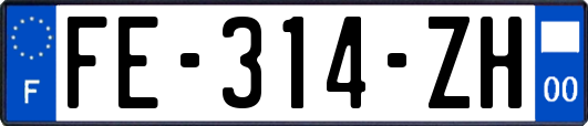 FE-314-ZH