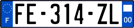 FE-314-ZL