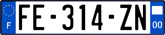 FE-314-ZN