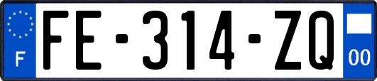 FE-314-ZQ