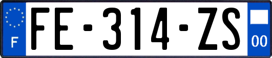 FE-314-ZS