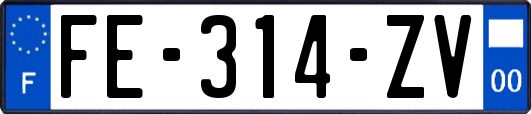 FE-314-ZV