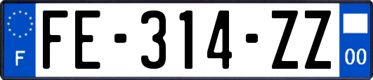 FE-314-ZZ