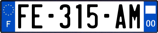 FE-315-AM