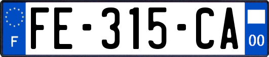 FE-315-CA