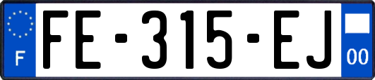 FE-315-EJ