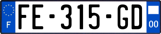 FE-315-GD