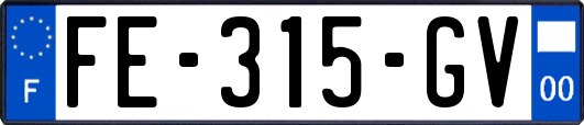 FE-315-GV