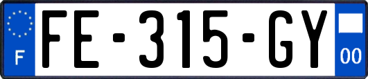 FE-315-GY