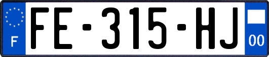 FE-315-HJ