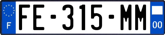 FE-315-MM