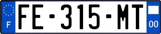 FE-315-MT
