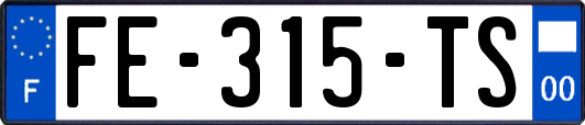 FE-315-TS