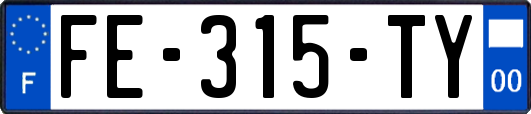 FE-315-TY