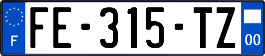 FE-315-TZ