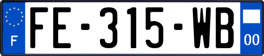 FE-315-WB