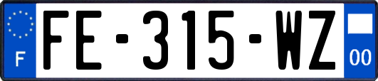 FE-315-WZ