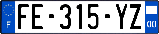 FE-315-YZ