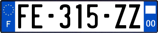 FE-315-ZZ