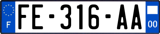 FE-316-AA