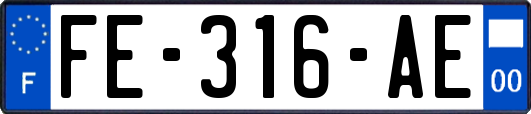 FE-316-AE